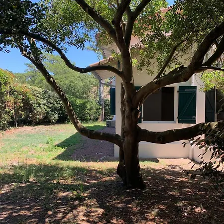 Maison Renovee 8 Personnes, A Quelques Pas De L'ocean Villa