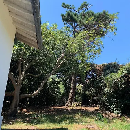 Maison Renovee 8 Personnes, A Quelques Pas De L'ocean Villa